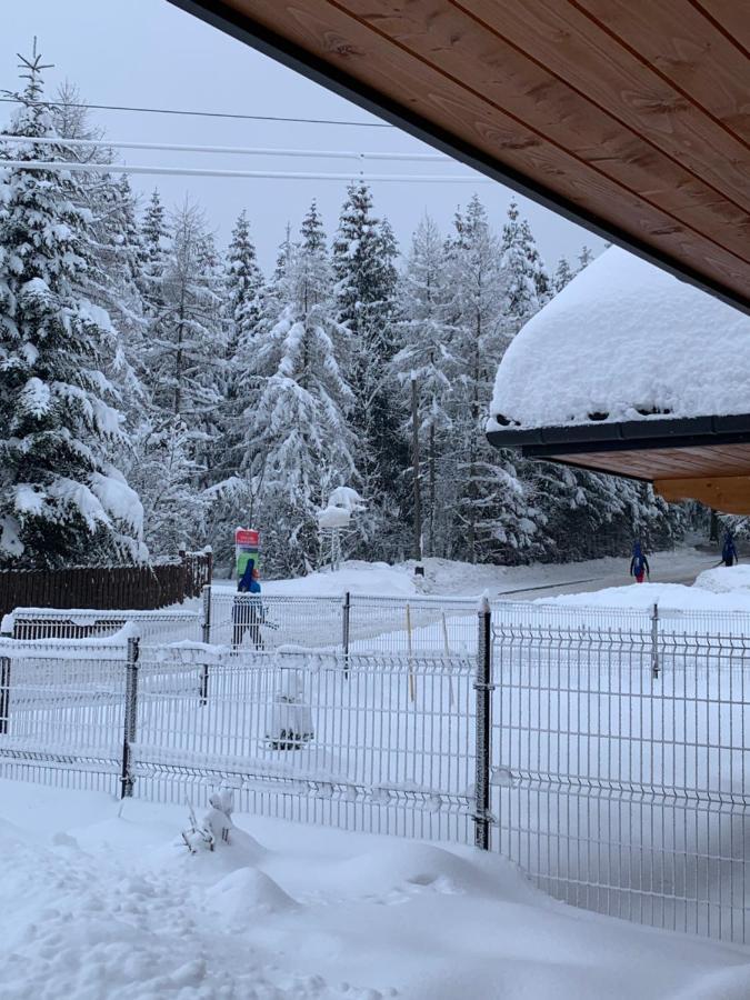 Punkt Koscielisko, Dom Gorski 800 M Od Doliny Koscieliskiej Εξωτερικό φωτογραφία